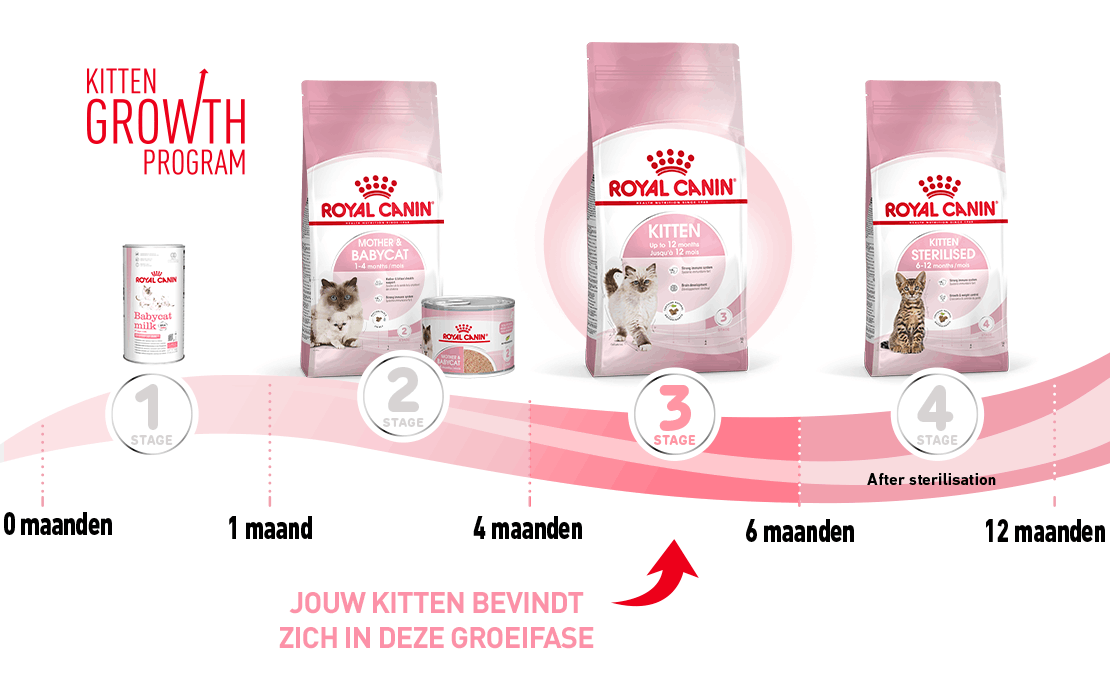 Royal Canin groeifase kitten